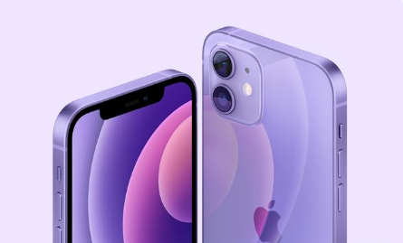 个旧苹果手机维修分享紫色版iPhone 12有什么技术亮点 